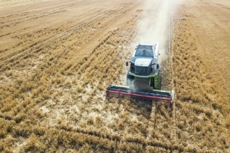 Combine harvester working on a wheat field. Combine harvester Aerial view