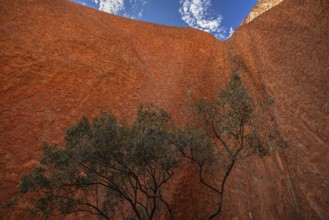 Uluru, formerly Ayers Rock, partial view, Uluru-Kata Tjuta National Park, Northern Territory,