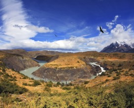 Horseshoe Paine. The national park Torres del Paine, Patagonia, Chile. Paine river bends in a