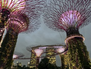 Illuminated supertrees and modern buildings in urban environment at night, living lights,