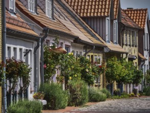 Historic terraced houses with flowering gardens along a cobbled street in the sunshine, holm,