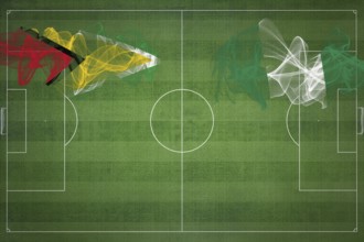 Guyana vs Nigeria Soccer Match, national colors, national flags, soccer field, football game,