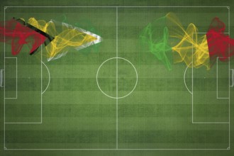 Guyana vs Mali Soccer Match, national colors, national flags, soccer field, football game,