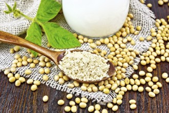 Soy flour in a spoon and milk in glass jug, soybeans and a leaf on napkin of burlap on wooden board