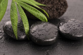 Green leaf on spa stone on wet black surface