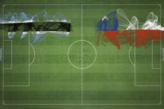 Botswana vs Chile Soccer Match, national colors, national flags, soccer field, football game,