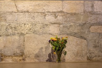 Flowers in front of a stone wall, symbol of decoration, transience Austria