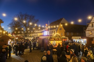 Christmas market on the village green Altkötzschenbroda Radebeul, Saxony, Germany