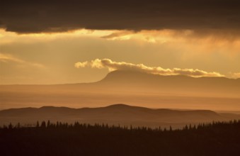 Cypress Hills Alberta Saskatchewan in the hills Alberta