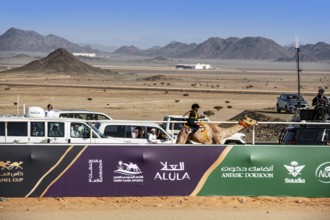 Dwarf jockey rides camel at the Al Ula Camel Cup at Mughayra Heritage Sports Village, Al Ula, Saudi