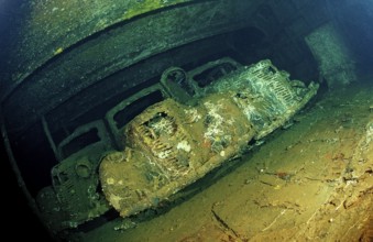Diver in shipwreck Umbria, military vehicles, Sudan, Africa, Red Sea, Wingate Reef
