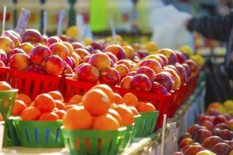 Jean Talon Market (vegetable market). Shooting Location: Montreal, Canada