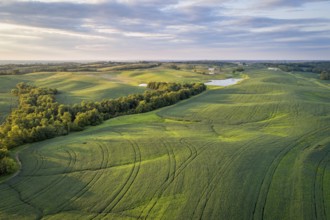 Aerial view of green soybean fields s in a valley of the Missouri River, near Glasgow, MO, late