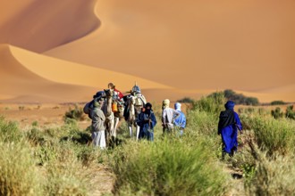 Group of people and camels in a sandy, vegetation-poor desert with high dunes, Tuareg with his