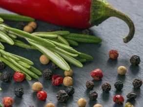 Herbs and spices over slate background. Top view or flat lay. Food background