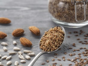 Homemade LSA mix in spoon - Linseed or flax seeds, Sunflower seeds and Almonds. Traditional