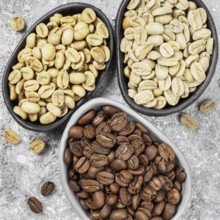 Top view of white, green and brown coffee bean in plate