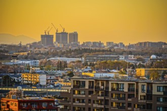 Rooftops of Chofu City, which is wrapped in a sunset. Shooting Location: Chofu, Tokyo