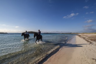 Illetes beach, riding a horse, Formentera, Pitiusas Islands, Balearic Community, Spain