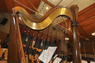 Harp