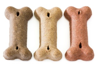 Dog dry food bone shaped on white background Dog dry food bone shaped on white background