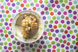 Plate with grape on colorful background