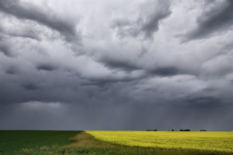 Prairie Storm Clouds in Saskatchewan Canada rural setting