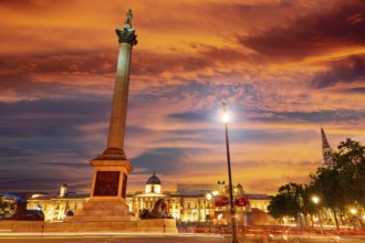 London Trafalgar Square sunset Nelson column in England
