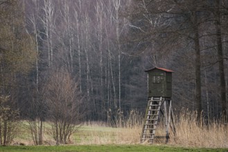 Wooden lookout tower for hunting in the woods and on meadow