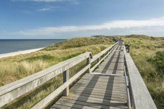 Wooden foot bridge in dune landscape near beach and ocean