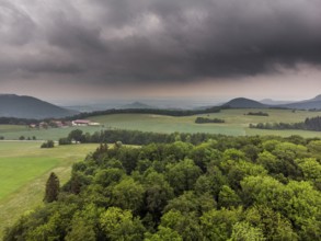 Forest landscape from the air