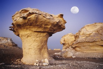 Rock in the white desert, porcini mushroom, mushroom formation, Egypt