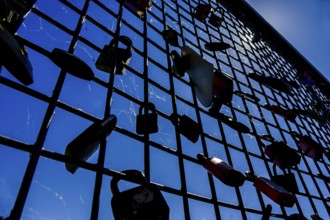 Reflection in windows of modern building