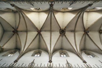 Saint Nicolas Church is a Gothic cathedral in Trnava, Slovakia. Interior, ceiling