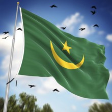 Flag of Mauritania, This is a computer generated and 3d rendered image