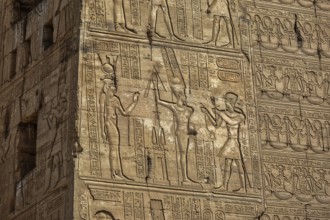 Hieroglyphic carvings on the exterior walls of an ancient egyptian temple