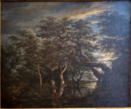 Jacob Isaacksz Van Ruisdael, A marsh in a forest at dusk, 1665, oil on panel, Museo de Bellas