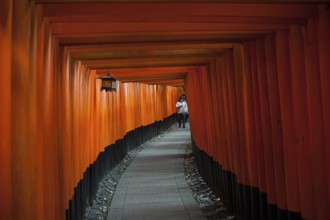 24.12.2017, Kyoto, Japan, Asia, An interior view of one of the torii pathways leading to Fushimi