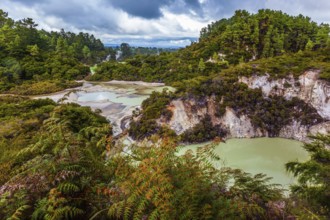 Thermal Wonderland is Wai - O - Tapu. Picturesque lake with green water. New Zealand, North Island.
