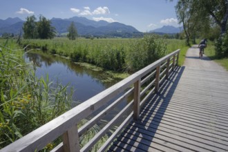 Cycle path in the Bernauer moss, moorland, Kampenwand, Bernau am Chiemsee, Bernau, summer, August,