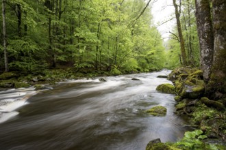 Buchberger Leite, Bavaria, Germany