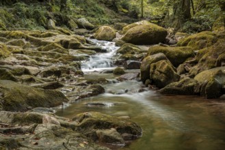 The Grobbach, a small creek in the northern Black Forest near Malschbach, Baden-Wuerttemberg,