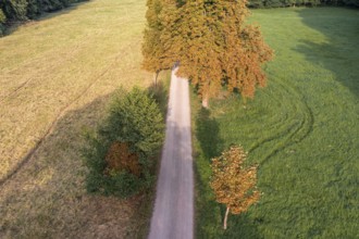 The Selketal valley between Meisdorf and Mägdesprung Selketalstieg natural landscape