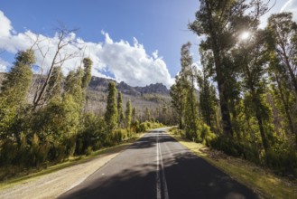 The picturesque Gordon River Rd and the Needles mountain range near Florentine on a hot summer's