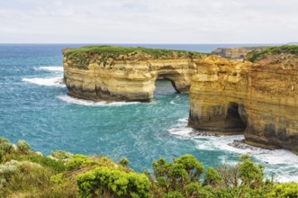 Mutton Bird Island is the home to thousands of short-tailed shearwater from October to April, Port