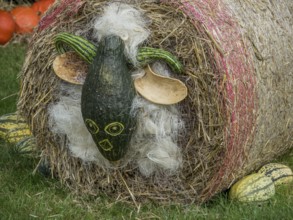 Hay bale with painted pumpkin face and decoration in autumn garden, borken, münsterland, Germany