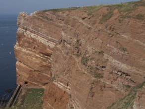 Steep red cliffs with grassy upper ridge on the coast, helgoland, north sea, germany