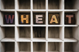The word WHEAT written in vintage ink stained wooden letterpress type in a partitioned printer's