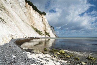 Chalk cliffs, chalk, cliffs, sea, Baltic Sea, Moen Klimt, Denmark, Northern Europe