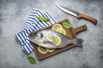 Raw fish dorado in casserole dish with ingredients lemon, fresh basil, bottle of olive oil on